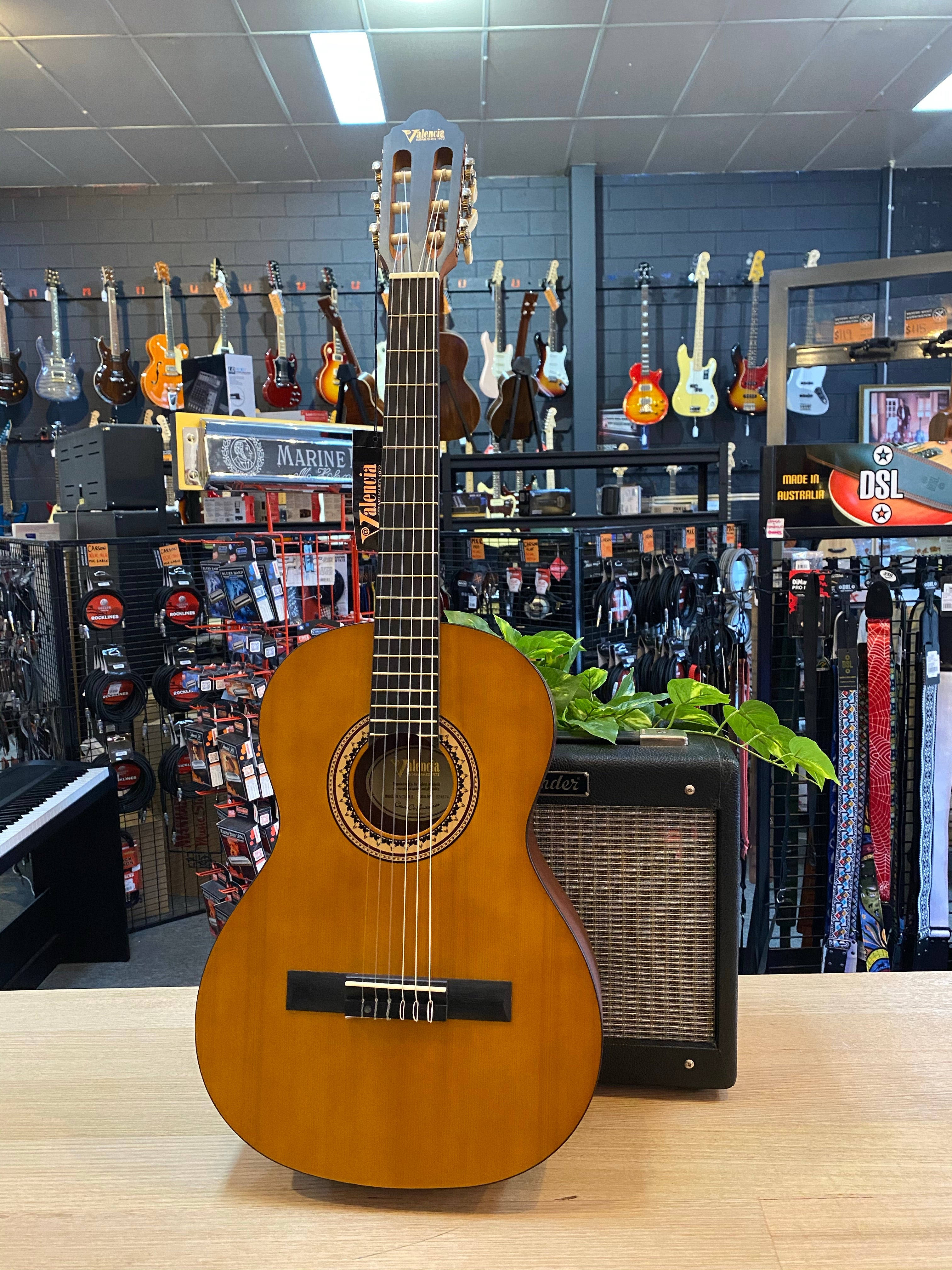 Valencia | VC203H | 3/4 Size | Slim Neck | Lefty | Student Guitar Valencia | VC203H | 3/4 Size | Slim Neck | Lefty | Student Guitar